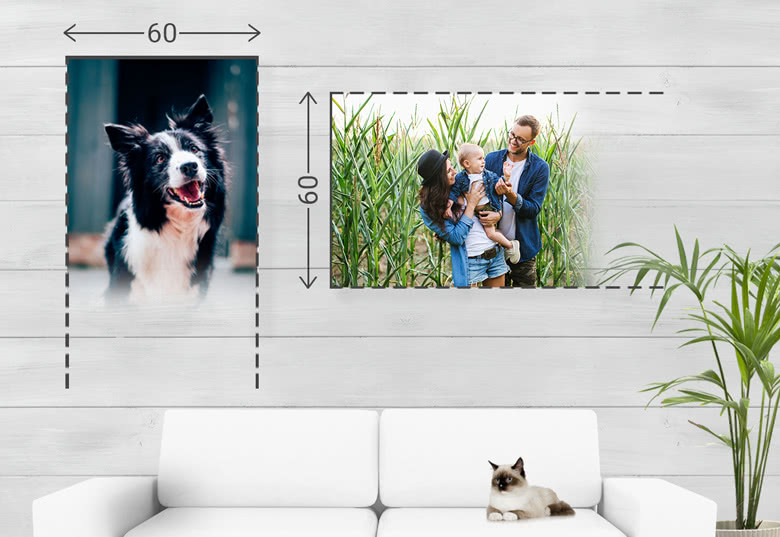 Fotoposter Supreme Flex 60 Matt