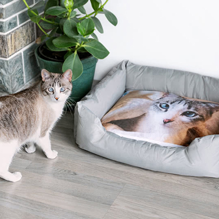 Hundbädd och kattbädd
